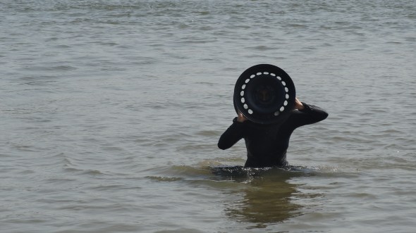 ELECTRIC TIRE-LAND / Foto: Carmen Casagrande